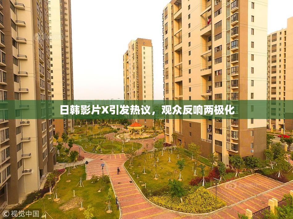 日韩影片X引发热议，观众反响两极化