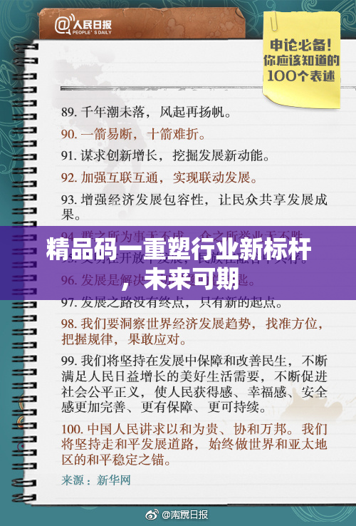 精品码一重塑行业新标杆，未来可期