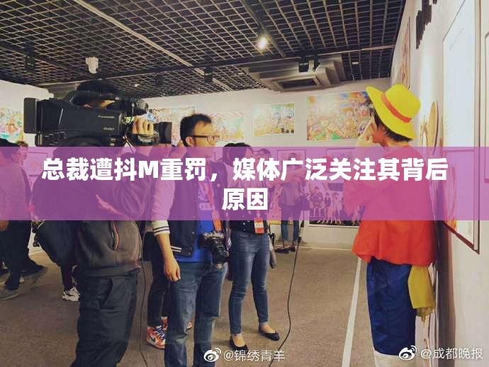 总裁遭抖M重罚，媒体广泛关注其背后原因