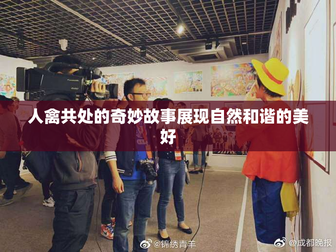 人禽共处的奇妙故事展现自然和谐的美好