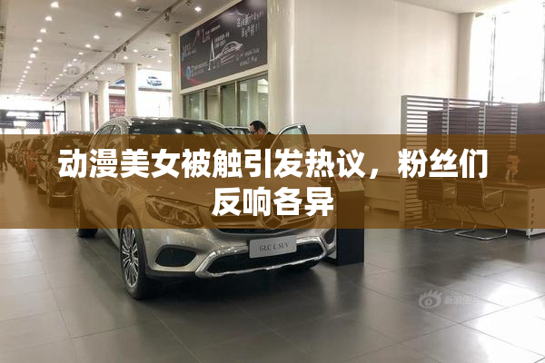动漫美女被触引发热议，粉丝们反响各异