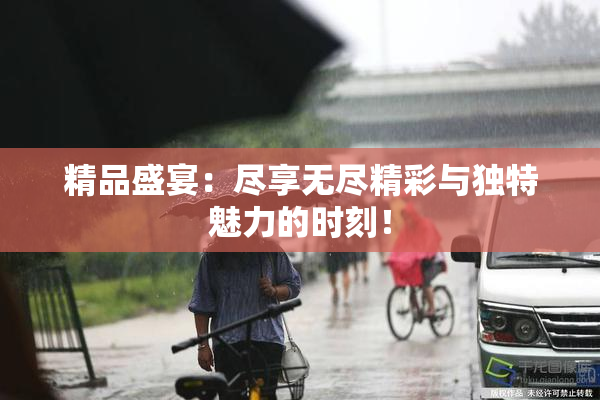 精品盛宴：尽享无尽精彩与独特魅力的时刻！
