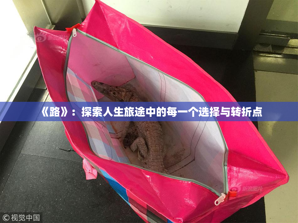 《路》：探索人生旅途中的每一个选择与转折点