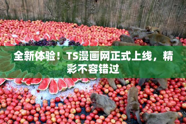 全新体验！TS漫画网正式上线，精彩不容错过