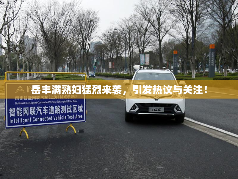 岳丰满熟妇猛烈来袭，引发热议与关注！