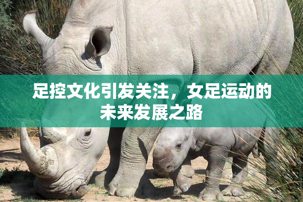 足控文化引发关注，女足运动的未来发展之路