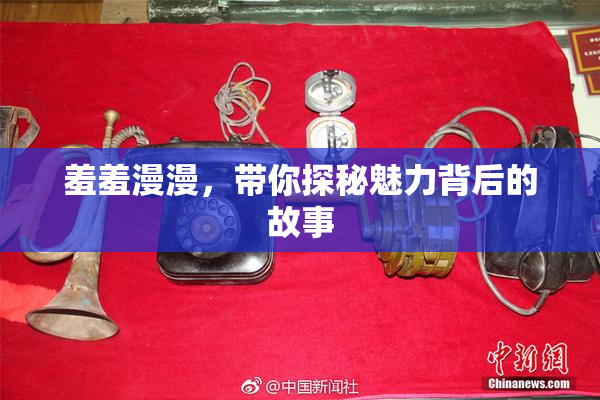 羞羞漫漫，带你探秘魅力背后的故事