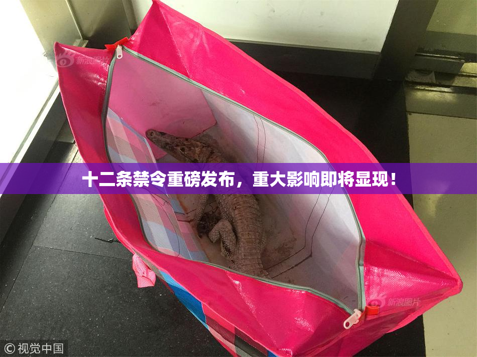 十二条禁令重磅发布，重大影响即将显现！