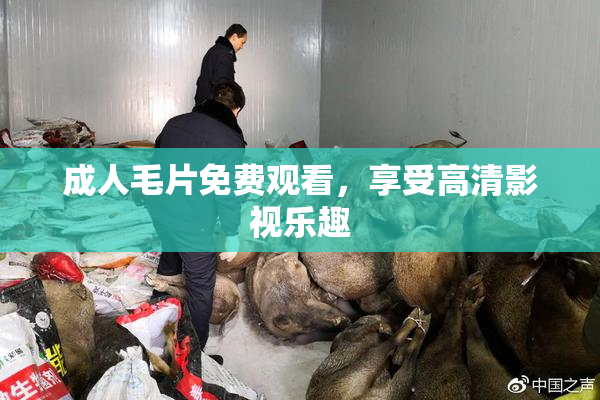 成人毛片免费观看，享受高清影视乐趣
