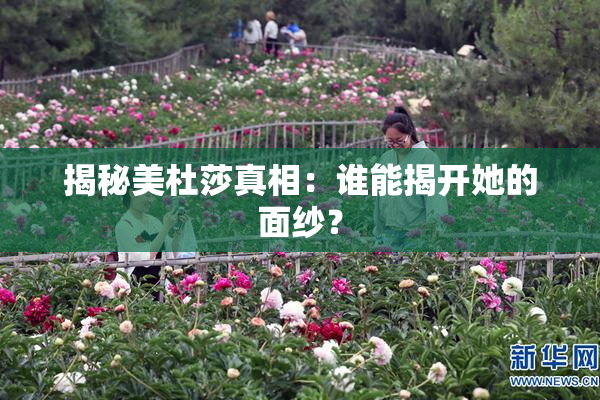 揭秘美杜莎真相：谁能揭开她的面纱？
