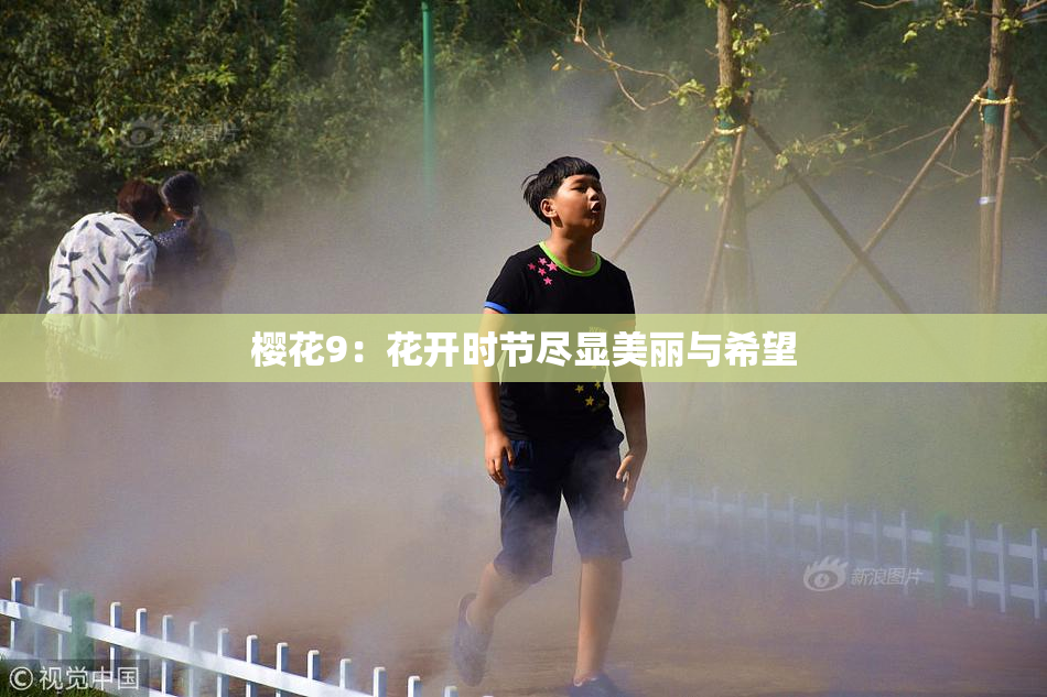 樱花9：花开时节尽显美丽与希望