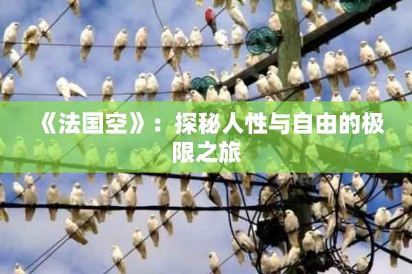 《法国空》：探秘人性与自由的极限之旅