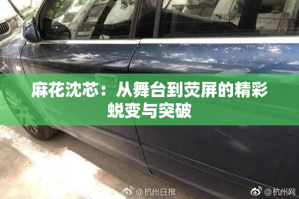 麻花沈芯：从舞台到荧屏的精彩蜕变与突破