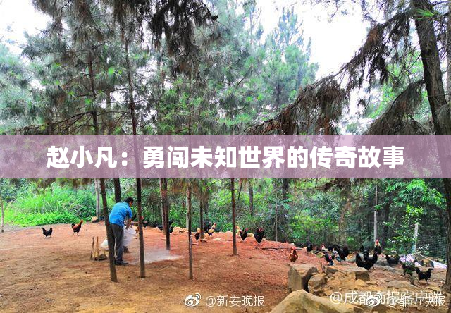 赵小凡：勇闯未知世界的传奇故事