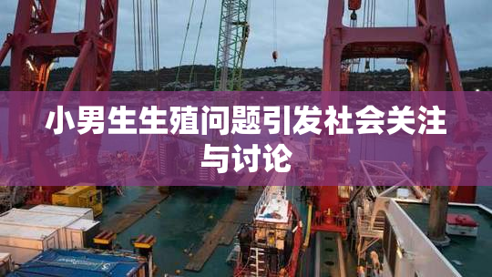 小男生生殖问题引发社会关注与讨论