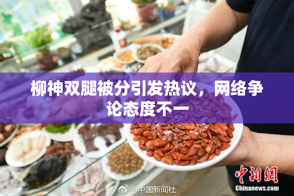 柳神双腿被分引发热议，网络争论态度不一