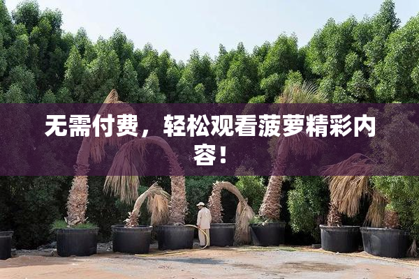 无需付费，轻松观看菠萝精彩内容！