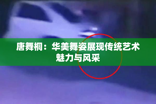 唐舞桐：华美舞姿展现传统艺术魅力与风采