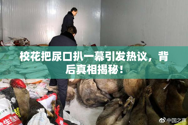 校花把尿口扒一幕引发热议，背后真相揭秘！