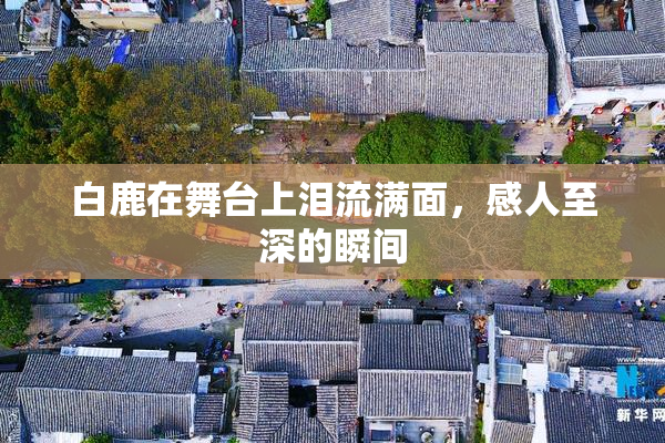 白鹿在舞台上泪流满面，感人至深的瞬间