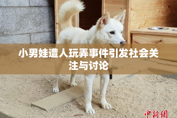 小男娃遭人玩弄事件引发社会关注与讨论