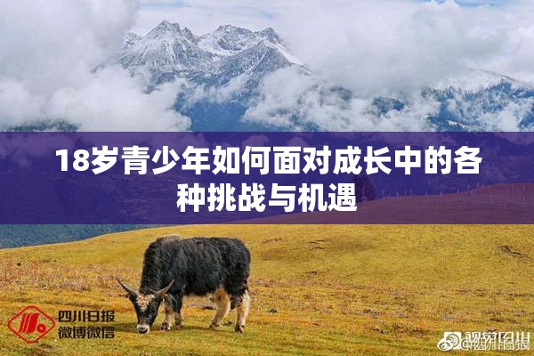 18岁青少年如何面对成长中的各种挑战与机遇