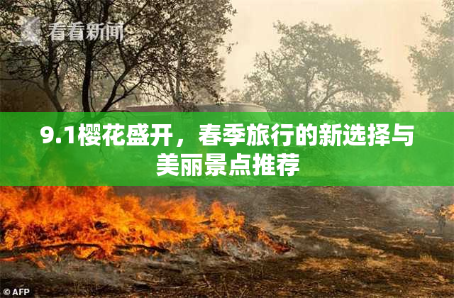9.1樱花盛开，春季旅行的新选择与美丽景点推荐