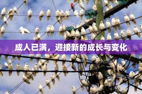 成人已满，迎接新的成长与变化