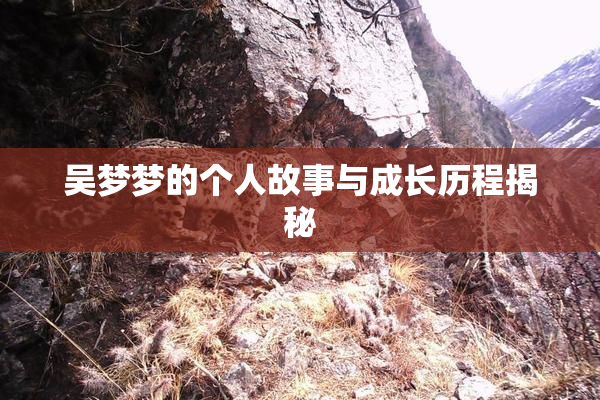 吴梦梦的个人故事与成长历程揭秘