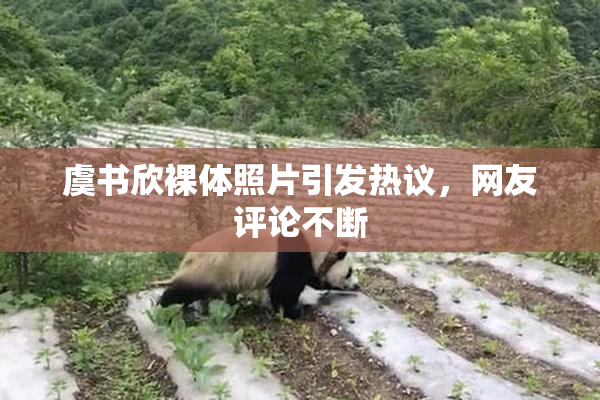 虞书欣裸体照片引发热议，网友评论不断