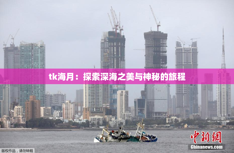 tk海月：探索深海之美与神秘的旅程