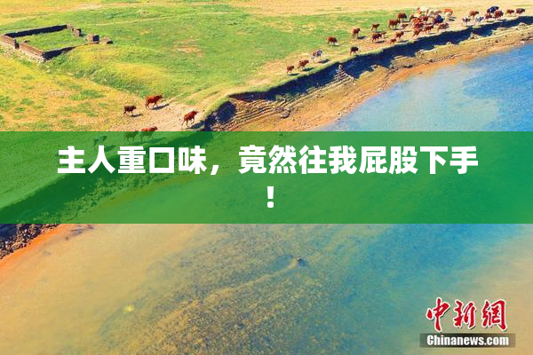 主人重口味，竟然往我屁股下手！
