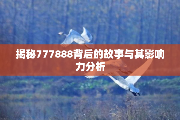 揭秘777888背后的故事与其影响力分析