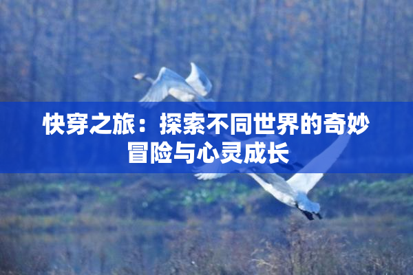 快穿之旅：探索不同世界的奇妙冒险与心灵成长