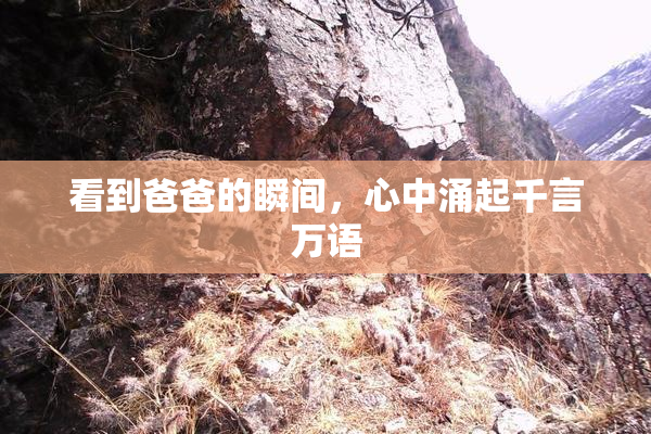 看到爸爸的瞬间，心中涌起千言万语