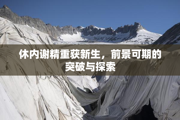 休内谢精重获新生，前景可期的突破与探索