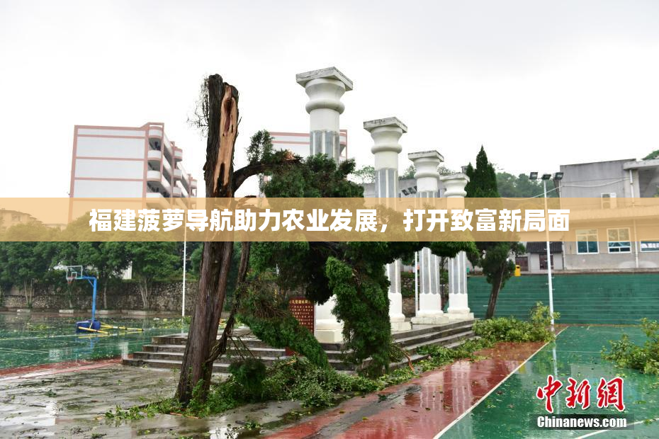 福建菠萝导航助力农业发展，打开致富新局面