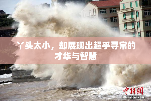丫头太小，却展现出超乎寻常的才华与智慧