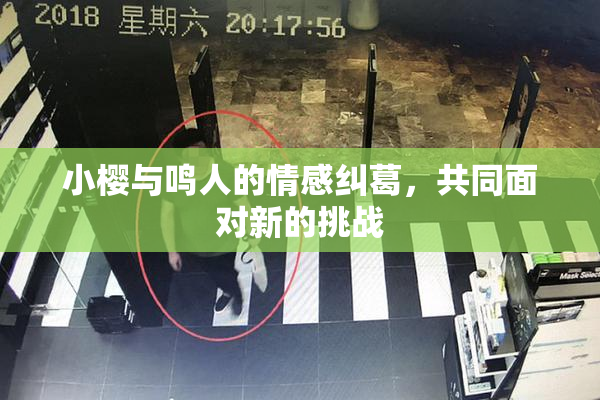 小樱与鸣人的情感纠葛，共同面对新的挑战