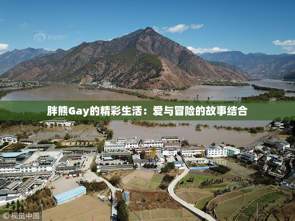 胖熊Gay的精彩生活：爱与冒险的故事结合