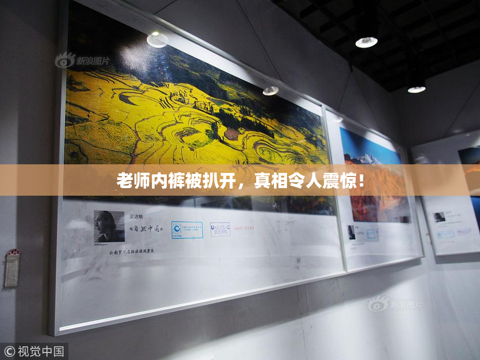 老师内裤被扒开，真相令人震惊！