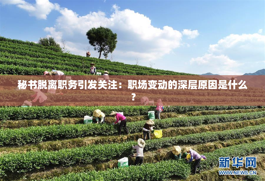 秘书脱离职务引发关注：职场变动的深层原因是什么？