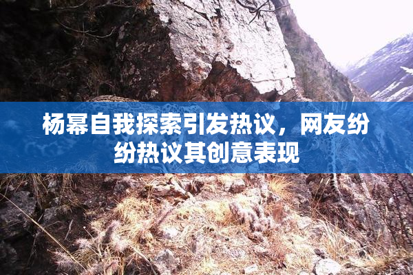 杨幂自我探索引发热议，网友纷纷热议其创意表现