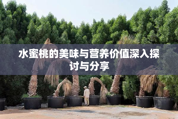 水蜜桃的美味与营养价值深入探讨与分享