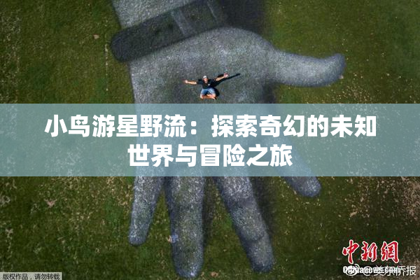 小鸟游星野流：探索奇幻的未知世界与冒险之旅