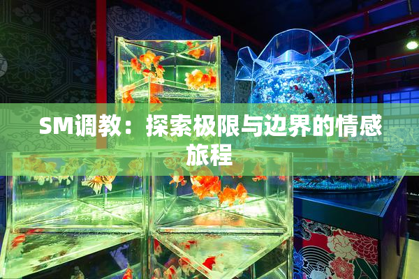 SM调教：探索极限与边界的情感旅程
