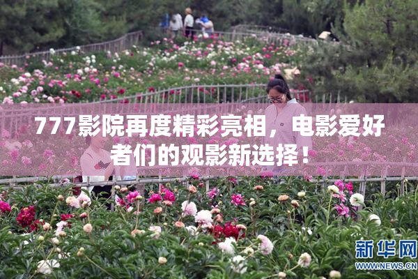 777影院再度精彩亮相，电影爱好者们的观影新选择！