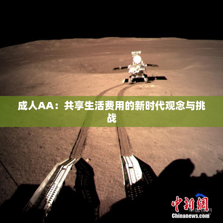 成人AA：共享生活费用的新时代观念与挑战