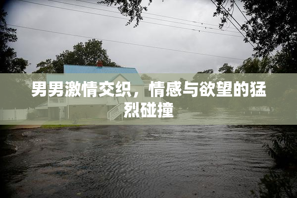 男男激情交织，情感与欲望的猛烈碰撞