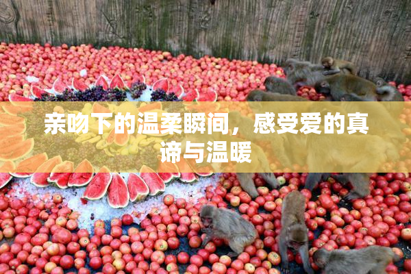亲吻下的温柔瞬间，感受爱的真谛与温暖